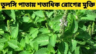 Tulsi Patar Upokarita  Tulsi Pata Khele Ki Hoy  Tulsi Patar Gunagun [upl. by Poyssick]