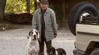 Forsthaus Falkenau Die Taufe Staffel 12 Episode 03 S12 E03 360p 25fps H264 128kbit AAC [upl. by Fried]