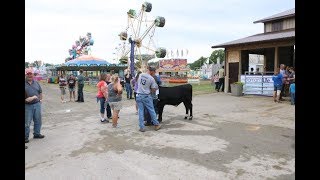 Wednesday morning at the 2018 Huron Community Fair [upl. by Phipps]