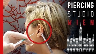 💉 Low Conch  High Lobe Piercing 💉 SPECIAL Edition 💉 Marcs Piercing TV [upl. by Renard30]