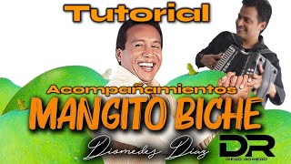 Manguito biche tutorial acompañamientos Diego Romero Acordeón [upl. by Gnuhn108]