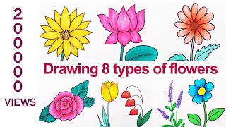 Drawing 8 types of Flowers  How to draw flowers in simple steps  How to draw lavender [upl. by Atterys]