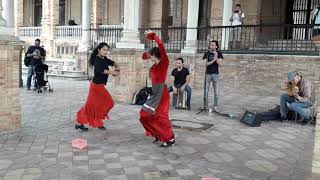 Flamenco en Plaza de Espana Sevilla  Sevilhanas [upl. by Erasmus]