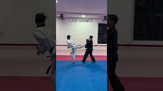 PATADAS MORTALES🤯🥋 taekwondo tkd 태권도 kickboxing muaythai nocaut deportes viralvideo [upl. by Ainig]