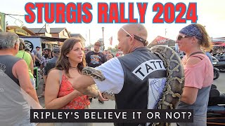 STURGIS Rally 2024 You Have to SEE it to BELIEVE it [upl. by Ybrek]