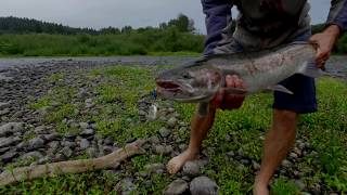 Clackamas River Summer Steelhead Fishing Phantom 3 4K [upl. by Nittirb]