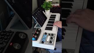 Mellotron Clarinet mellotron ambientmusic [upl. by Kcyrred]