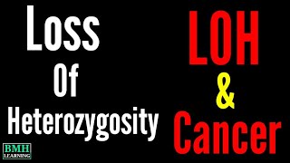 Loss Of Heterozygosity  LOH  Loss Of Heterozygosity amp Cancer  Gene Conversion [upl. by Eolhc116]