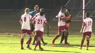 IGA NPL NSW Mens 1 Goal of the Week Round 11 [upl. by Nerval]