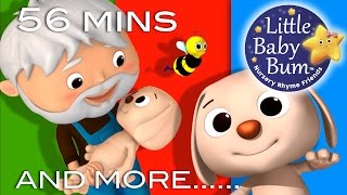 Learn with Little Baby Bum  BINGO Part 2  Nursery Rhymes for Babies  Songs for Kids [upl. by Lumbard]