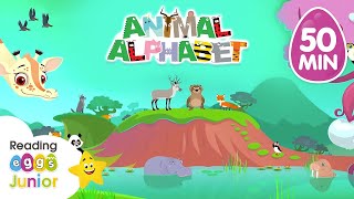 Animal Alphabet 🔤 Learning Letters  English Alphabet [upl. by Wendall]