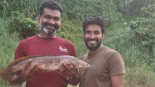 ചാലിയാറിലെ ചേറ്മീൻ  Fishing Feast [upl. by Dominique]