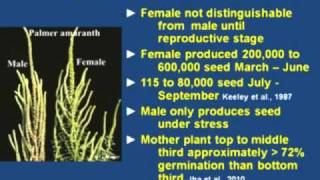 Palmer Biology  Germination Growth and Reproduction [upl. by Acsecnarf]