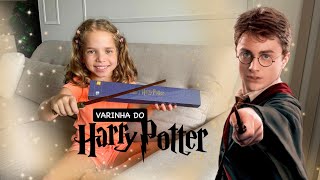 HARRY POTTER  Ganhei a Varinha [upl. by Houghton]