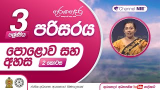 පොළොව සහ අහස  03 ශ්‍රේණිය පරිසරය [upl. by Mccully]