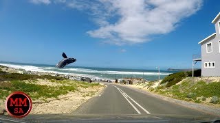 Driving from Malgas to Witsand  dash cam South Africa [upl. by Natsirc]