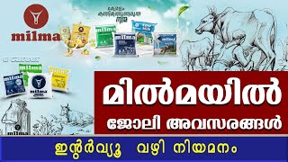 മിൽമയിൽ വിവിധ ജോലി ഒഴിവുകൾ Milma RecruitmentMilmatrcmpugovt jobs10th pass [upl. by Nuahsal]