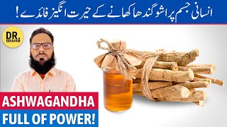 Ashwagandha Ke Fayde Ashwagandha Benefits For Men amp Women  Asgand  UrduHindi [upl. by Verla627]