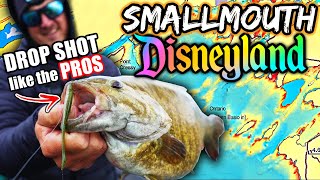 How to Catch GIANT Bass Drop Shotting w Live Scope [upl. by Ear]