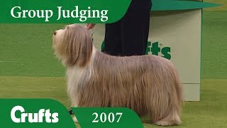 Bearded Collie wins Pastoral Group Judging at Crufts 2007 [upl. by Templer]