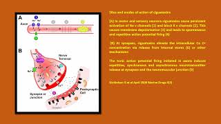 Neurology Quiz 85 Marine neurotoxins [upl. by Edgar514]