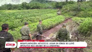 Límite JujuySalta así está el lugar donde se encontró la megaplantación de marihuana [upl. by Sellma]