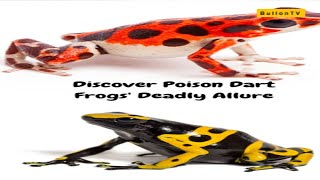 Discover Poison Dart Frogs Deadly Allure Wildlife Nature Frogs Rainforest Poison [upl. by Kcirdderf]