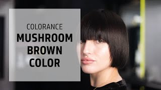 Deep Mushroom Brown Hair Coloring Technique  Colorance  Goldwell Education Plus [upl. by Kevyn176]