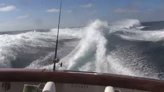 Viking 48 Convertible 57 ft seas Trolling Running Cabo [upl. by Mulcahy]