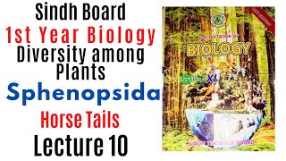 Sphenopsida Horse Tails Diversity among plants  1st year biology Sindh text book board new book [upl. by Asilana]