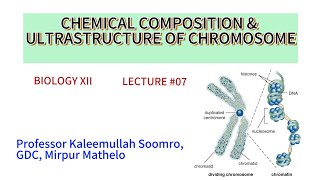 BiologyXII  Chemical composition of chromosome and ultrastructure [upl. by Aracal]