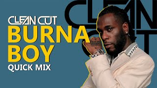 Burna Boy Quick Mix 2024 [upl. by Maitund]