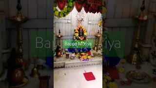 Bappa janar maje udya marathi music 16092024youtubeshorts [upl. by Ritchie]