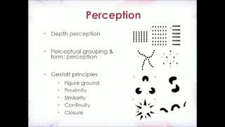 Cognition Lecture 3  Perception Attention Filter Theory [upl. by Morrell]