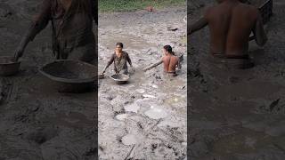 Amazing village woman catching huge catfish by hand in deep Mudd fishing catfish fish shorts [upl. by Bax55]