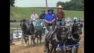 2024 Knox County Ohio County fair Horse and wagon [upl. by Warthman746]