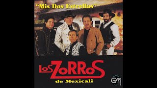 Los Zorros De Mexicali  Desde Que Te Fuiste Audio [upl. by Yrrap]