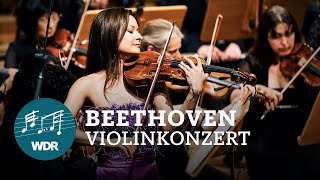 Ludwig van Beethoven  Konzert DDur für Violine und Orchester  Steinbacher  WDR Sinfonieorchester [upl. by Lissak]