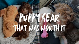 PUPPY GEAR that helped me amp my Havanese survive the puppy stage [upl. by Clova]