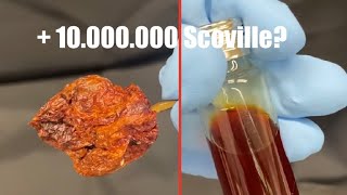 Soxhlet Extraktion von Capsaicin [upl. by Alieka]