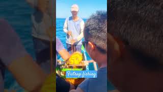 Fishtrap fishing video fishing fishingexpedition fishingequipment fishingadventurebeach fish [upl. by Airuam491]