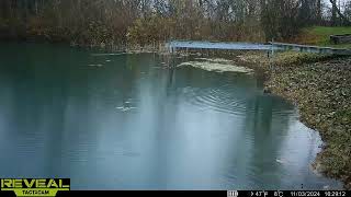 Muskrats and Rain [upl. by Rollo]