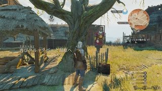 【PS4】The Witcher 3 Wild Hunt  Part 50B ・ 再びクルックパック湿原へReturn to Crookback Bog（木の心臓解放 ver） [upl. by Garrek]