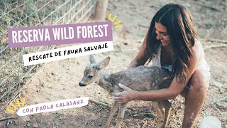 Mi proyecto de vida la Reserva Wild Forest  Dulcinea [upl. by Ardnaeed]