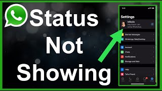 WhatsApp Status Not Showing FIXED [upl. by Jeffries940]