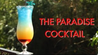 How To Make A Paradise Tropical Layered Cocktail  Drinks Made Easy [upl. by Fiden]