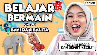 Belajar Bicara Untuk Balita Bersama Kak Nisa  Mengenal hewan Mengenal Kata Lagu Interaktif Balita [upl. by Taite]