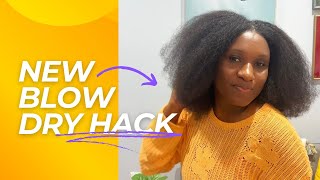 New Blow Dry Technique for Natural Hair  StepbyStep Guide on How I Blow Dry My Hair [upl. by Haag]