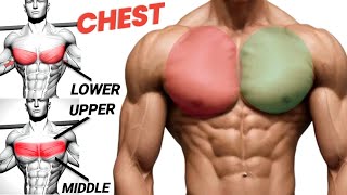 Best Chest Exercises Upper Middle And Lower Chest Targer To Build Big Chest Muscle  Chest Workout [upl. by Nooj]