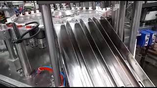 Effervescent Tablets Packaging Machine [upl. by Cristie122]